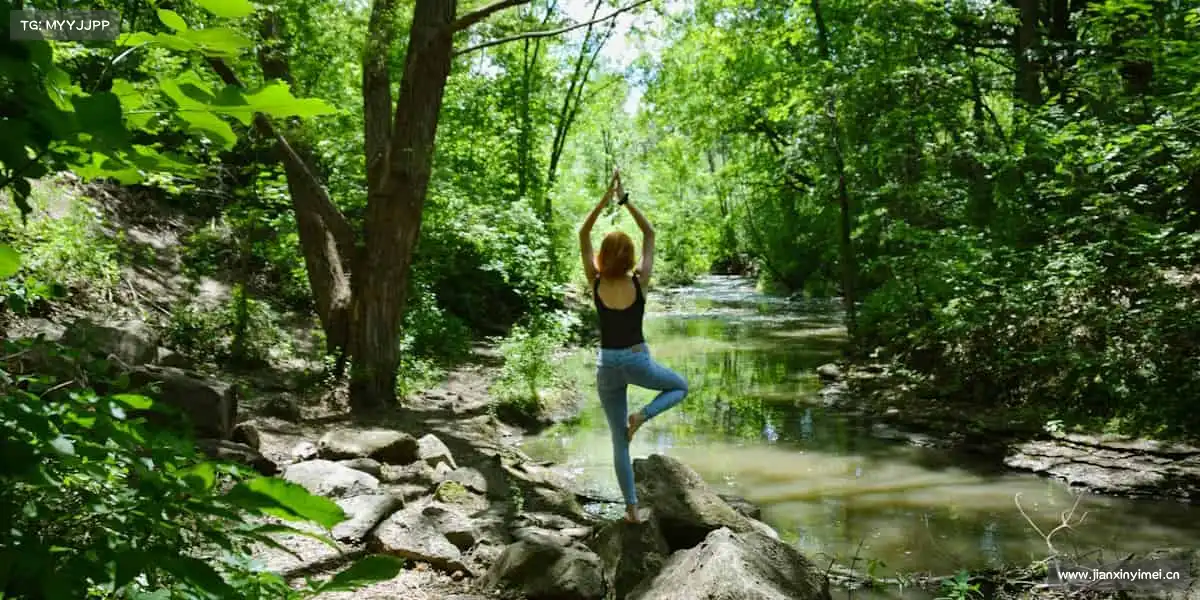 zoty中欧🏀传球、跳跃、得分 —— 你的主场由你掌控!